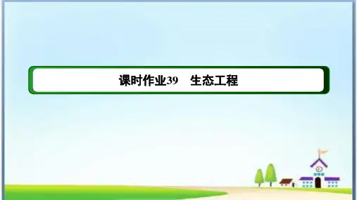 课时作业39 生态工程(含答案详解)