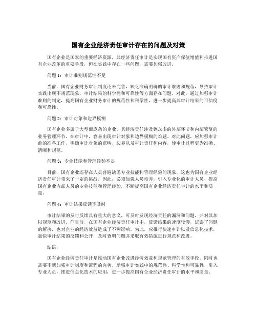 国有企业经济责任审计存在的问题及对策