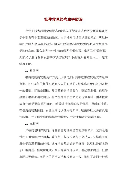 杜仲常见的病虫害防治