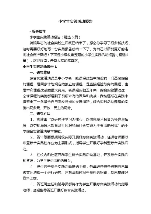 小学生实践活动报告
