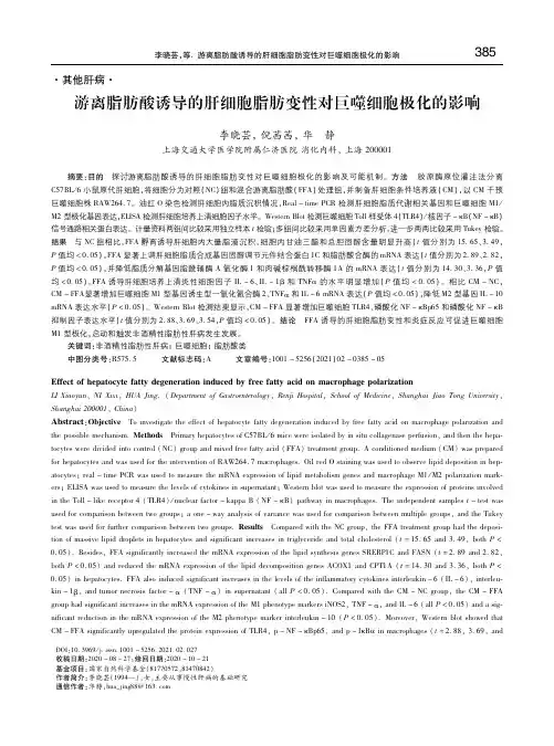 游离脂肪酸诱导的肝细胞脂肪变性对巨噬细胞极化的影响