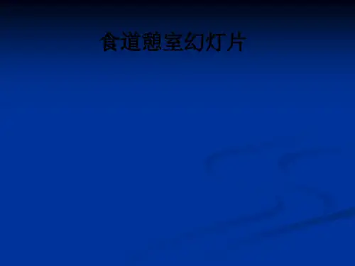 食道憩室幻灯片ppt课件