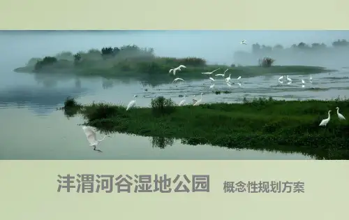 西安沣渭河谷湿地公园项目概念性规划方案
