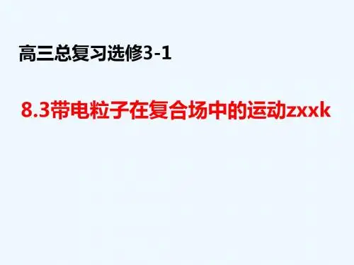 山东省冠县武训高级中学高三物理复习课件