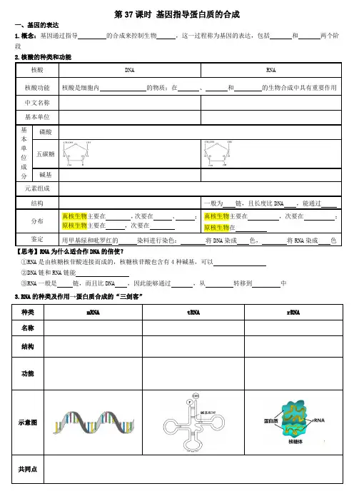 高三一轮复习生物第37课时基因指导蛋白质的合成导学案