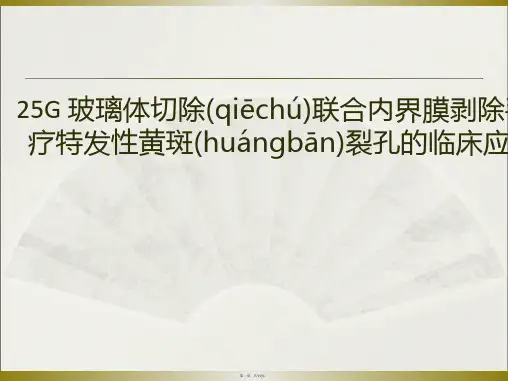 25G玻璃体切割术全解