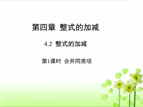 第1课时 合并同类项