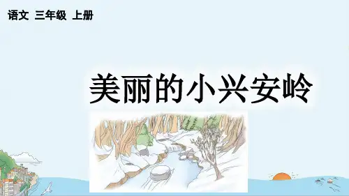 美丽的小兴安岭课件