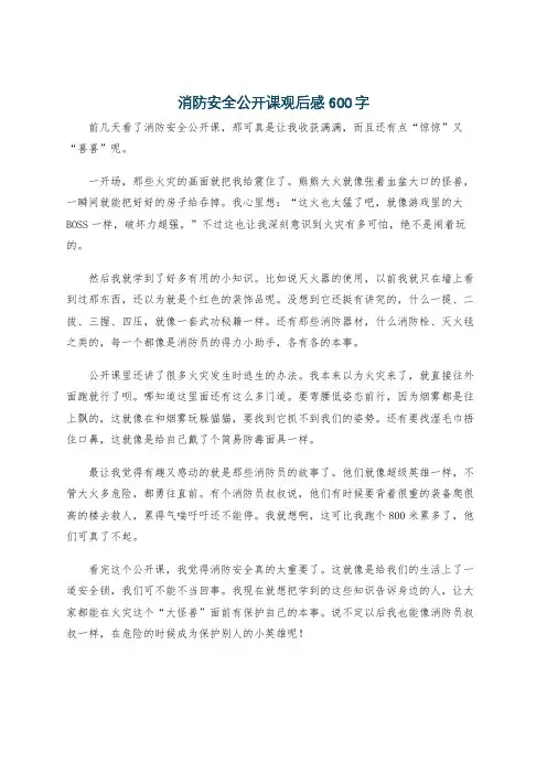 消防安全公开课观后感600字