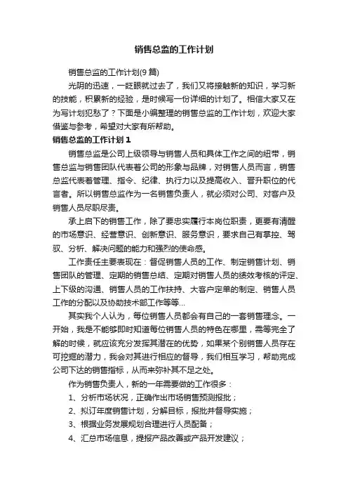 销售总监的工作计划（9篇）