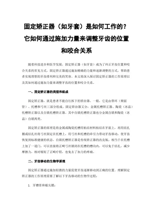固定矫正器（如牙套）是如何工作的？它如何通过施加力量来调整牙齿的位置和咬合关系