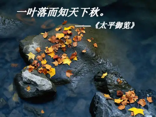 高一语文人教版必修二第一单元2故都的秋公开课课件(共33张PPT)