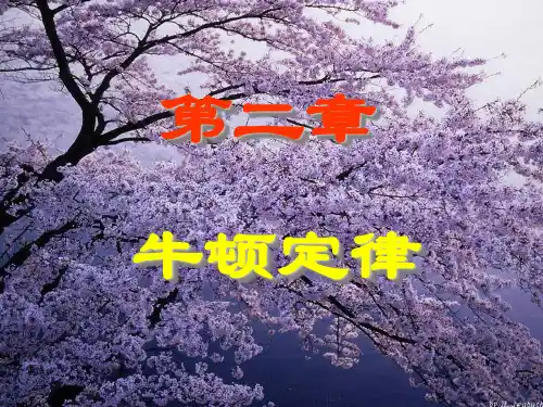 牛顿定律及应用举例