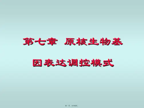 工学]第七章 原核生物基因表达的调控