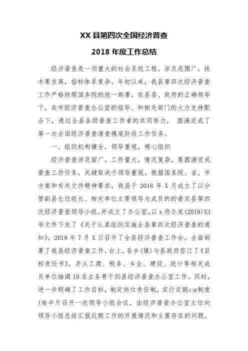XX县第四次全国经济普查2018年度工作总结