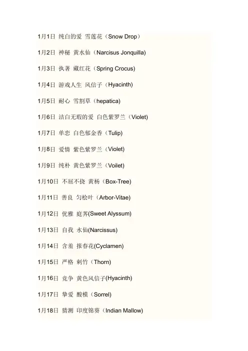 每一天所代表的花名
