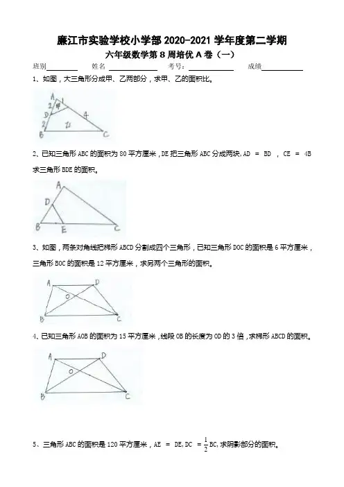 广东省廉江市实验学校六年级下学期数学第8周培优A卷1