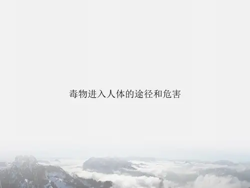 毒物进入人体的途径和危害专项文档