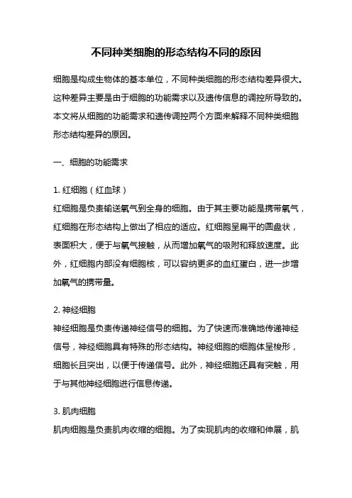 不同种类细胞的形态结构不同的原因