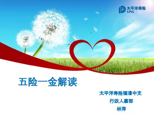 五险一金政策解读宣导PPT幻灯片
