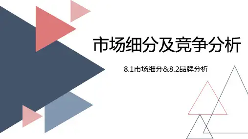 市场细分品牌分析