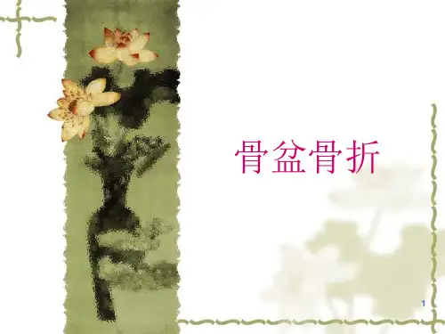 骨盆骨折处理PPT课件