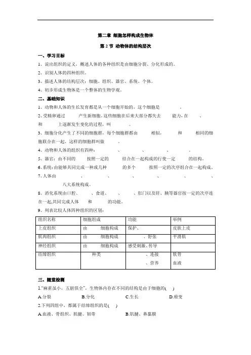 动物体的结构层次导学案