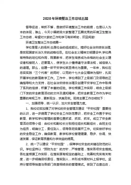 2020年环境整治工作总结五篇