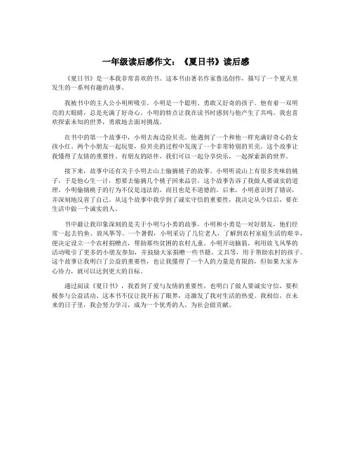 一年级读后感作文：《夏日书》读后感