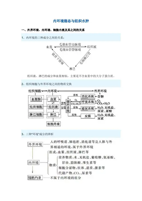 内环境稳态与组织水肿