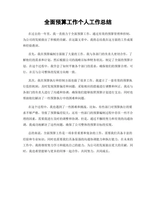 全面预算工作个人工作总结