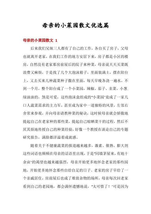 母亲的小菜园散文优选篇