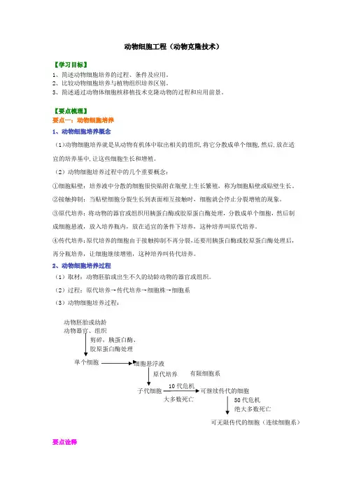高二生物 动物细胞工程 知识讲解