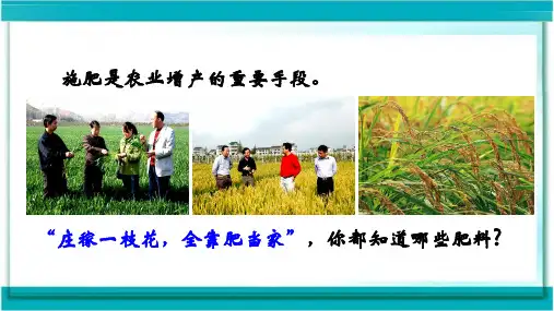 化学北京版九年级下册《第三节化学肥料》课件公开课