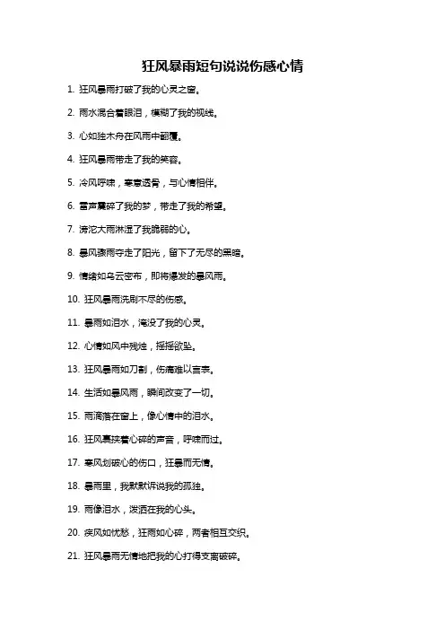 狂风暴雨短句说说伤感心情