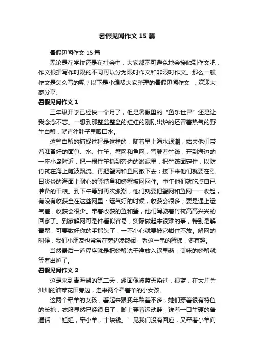 暑假见闻作文15篇