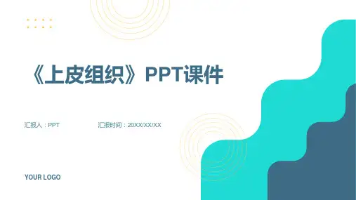 《上皮组织》课件