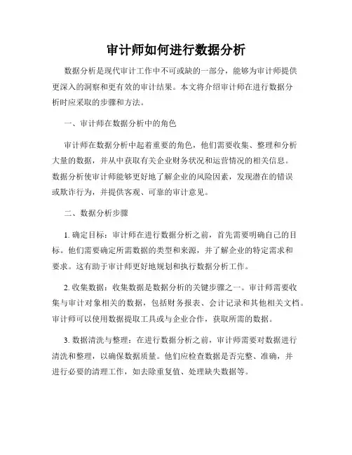 审计师如何进行数据分析