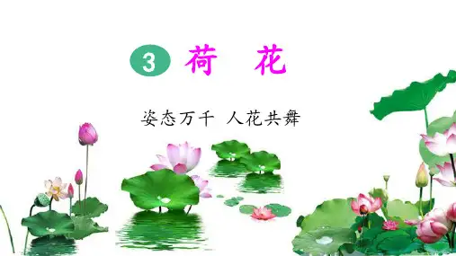 小学三年级下册第3课《荷花》PPT课件