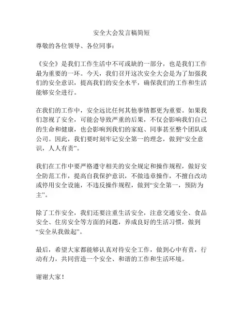 安全大会发言稿简短