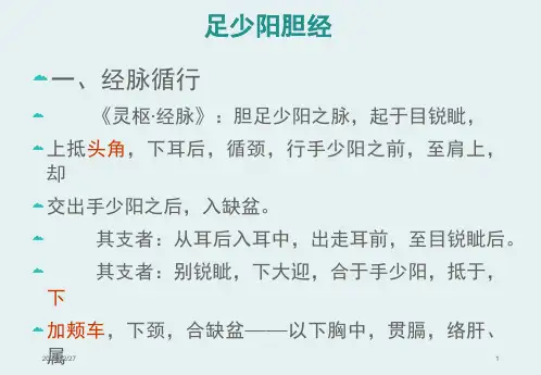 最新中医经络之——足少阳胆经ppt课件-PPT文档