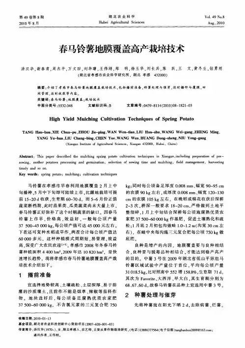 春马铃薯地膜覆盖高产栽培技术