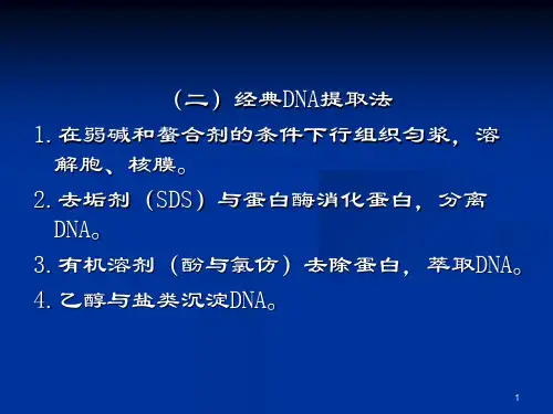 pcr教程研究生用