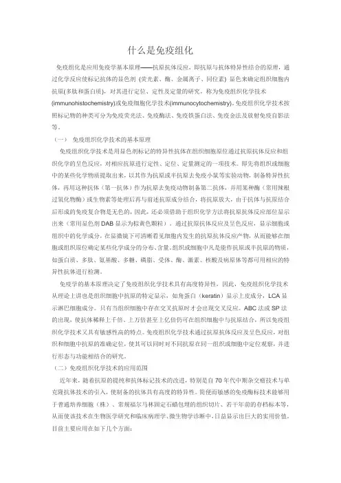 免疫组化