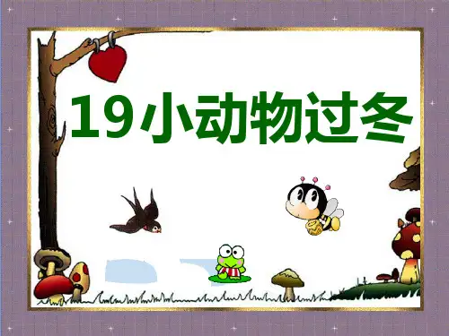 小动物过冬1 