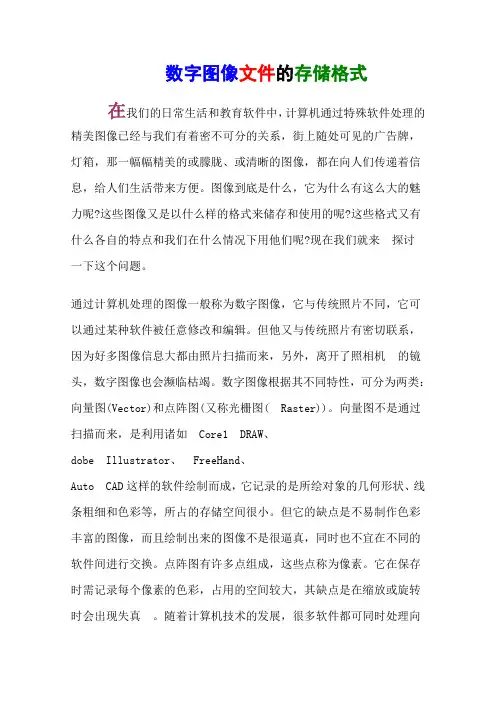 数字图像文件的存储格式