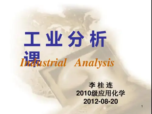 工业分析