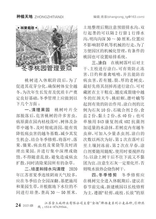 冬季桃园管理要点