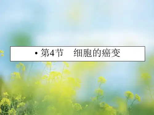 细胞的癌变PPT教学课件
