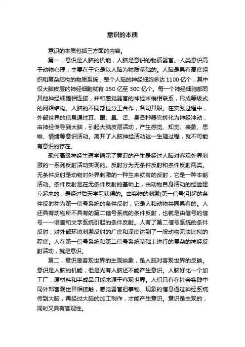 意识的本质